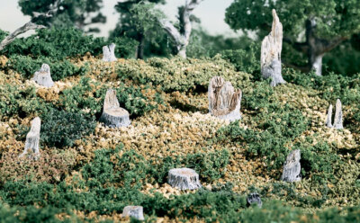 Woodland Scenics Broken Stumps pkg(14) S32