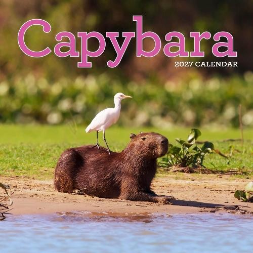 Capybara Calendar 2027 - Image 3