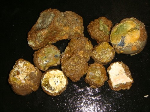 OLD BLUE BED THUNDER EGG ROUGH LOT RICHARDSON RANCH  5  1/2  POUNDS  OREGON
