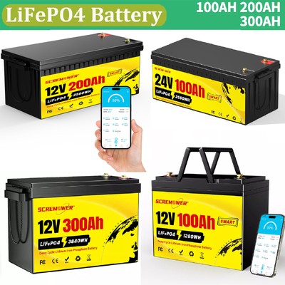 Bluetooth 24V 12V 100Ah 200Ah 300Ah LiFePO4 Lithium Battery Low-Temp Protection