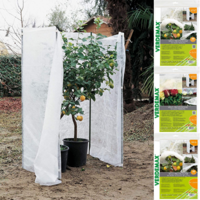 10 Migliori Copertura Per Piante Invernale In Italia - Foto 10