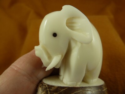 TNE-ELE-271c) circus PACHYDERM TAGUA NUT Figurine Vegetable elephas zoo favorite