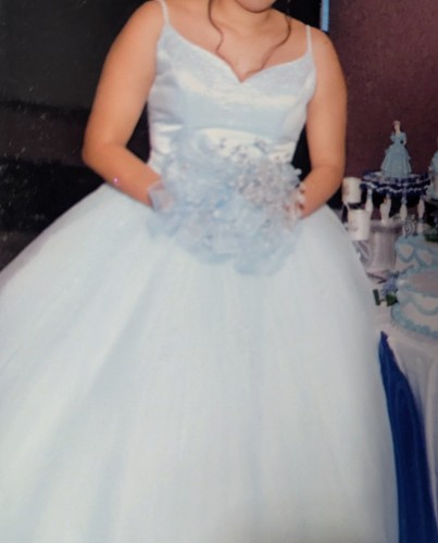 Quinceanera Dress By Alfred Angelo. Powder Blue. Size 14 - Afbeelding 10 van 24