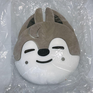 Skzoo Cushion | eBay