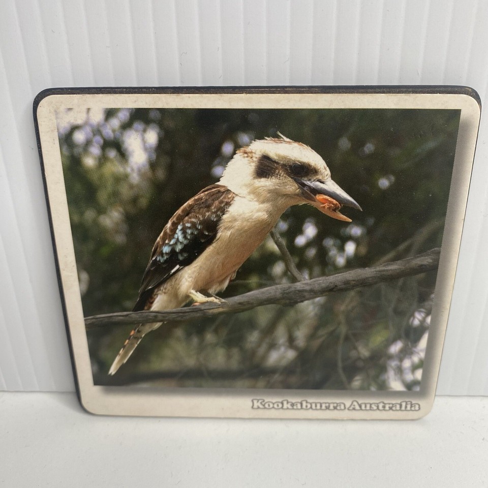 6 Australia Animal Souvenir Coasters 6 Different Australian Animals