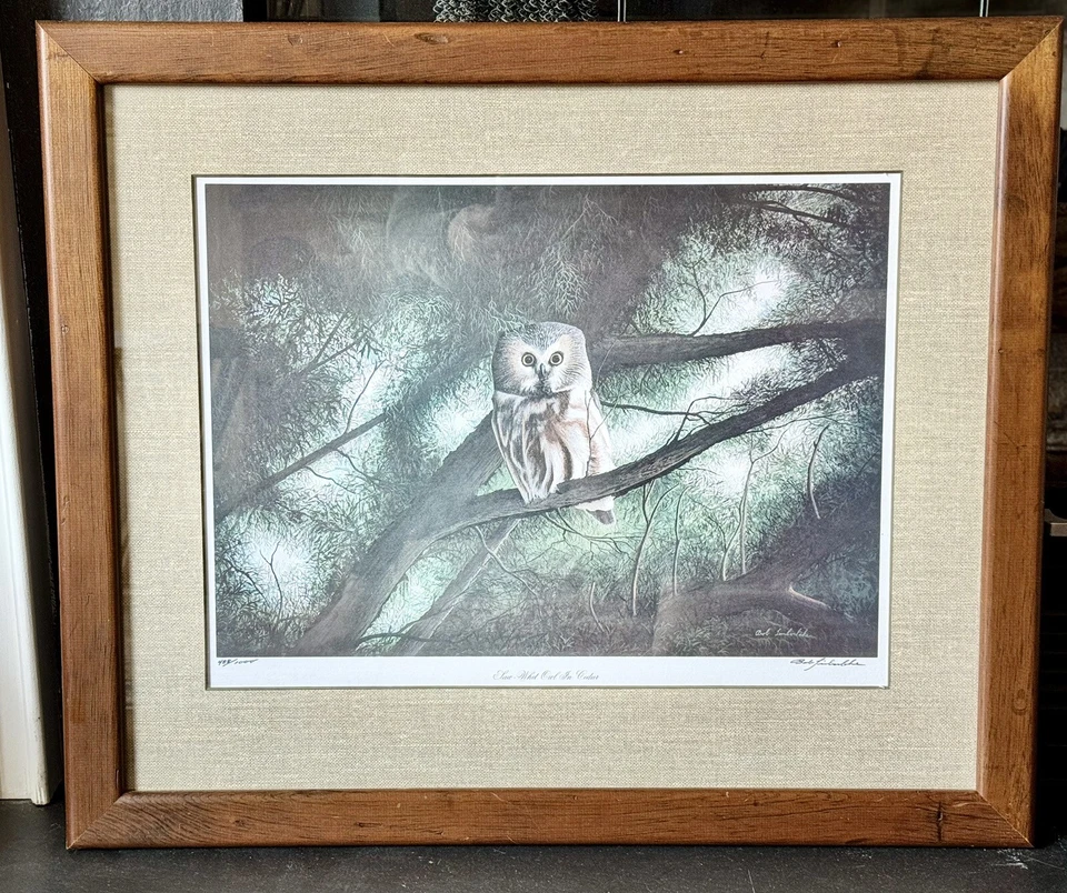 Печать с автографом Боба Тимберлейка в рамке «Сова в кедре Луа Уит» 21x25 ограниченное издание - Изображение 3 из 4