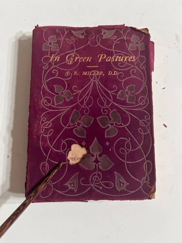 IN GREEN PASTURES by J R Miller ~ Suede  Cover  ~ 1920s ~ Antique Book - Bild 11 von 11