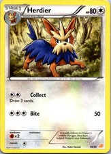 Herdier 19/30 Common BW Trainer Kit: Excadrill & Zoroark Pokemon MP