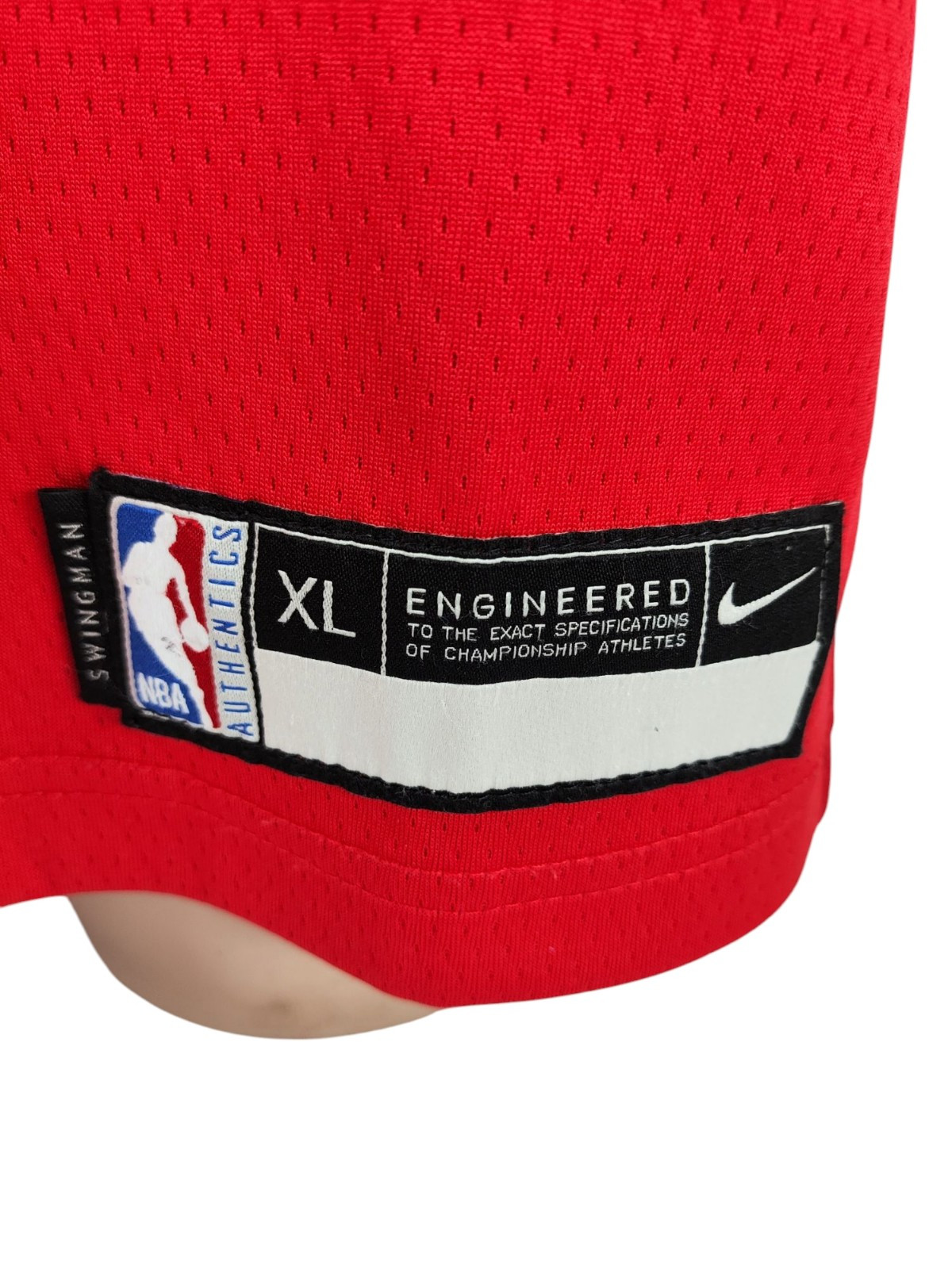 Nike Chicago Bulls image 3
