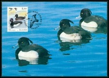 ALAND MK V&Ouml;GEL ENTEN BIRDS DUCKS MAXIMUMKARTE CARTE MAXIMUM CARD MC CM (m2035