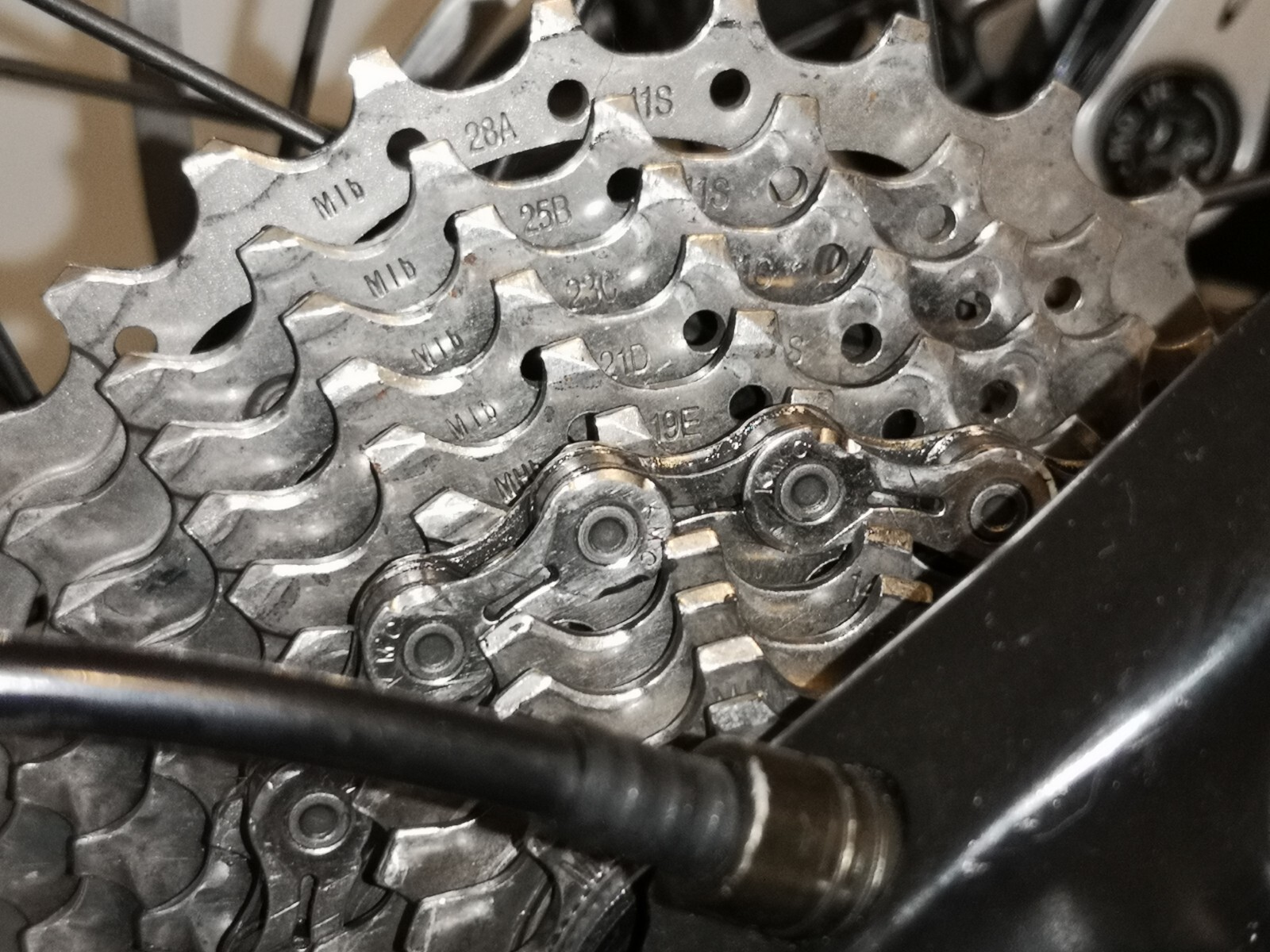 best carbon endurance bike