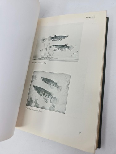 Tropical Fish for the Home by F.H. Stoye Empire Tropicals HC c.1930s Aquarium - Picture 8 of 11