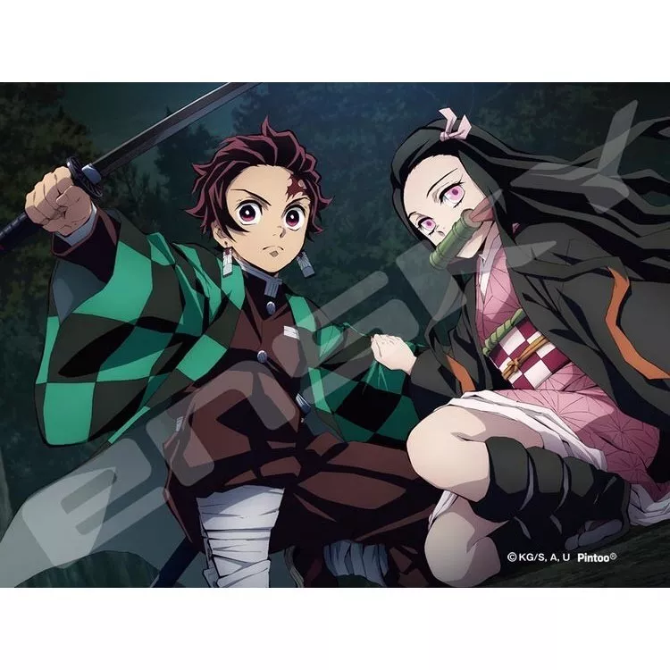 Demon Slayer Tanjiro and Nezuko Jigsaw Puzzle Available at Super Anime  Store