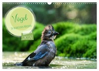 "Calendar 2027 · US Version · Birds In Native Forests (Wall Calendar 2027 17\" × 1"