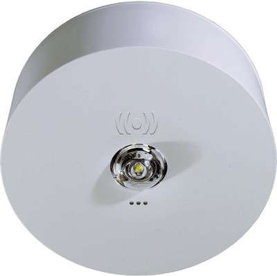 RP-Technik Sicherheitsleuchte ILDK423SC RP-Technik Sicherheitsleuchte