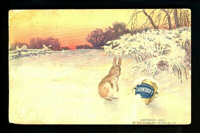Advertising postcard Snowdrift Southern Cotton Oil rabbit 1907 Vintage ...