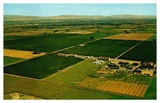 Eastern WA Hop Ranch Yakima River Valley Aerial View Posted 1966 Chrome Postcard
