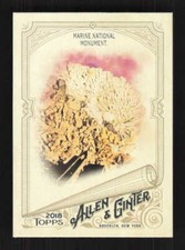 Marine National Monument  2018 Topps Allen & Ginter   Undersea Preserve #84
