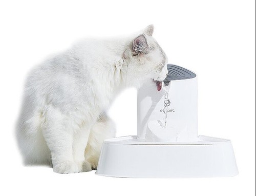 Seashell Pet Drink Fountain