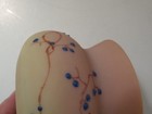 Picture 10 of 10