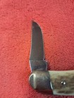 Hen & Rooster stag handle unused 3 blade "QUARTER HORSE" pocket knife  — photo 4