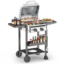 2-Burner Propane Gas Grill with Folding Side Tables,Stainless Steel 16,000 BTU