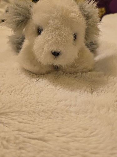 Raro peluche cane piccolo DSI Toys Inc. / Tyco vintage grigio e bianco con cigolio - Foto 2 di 6