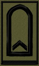 Bundeswehr Rangabzeichen Heer mit Schwarzer Litze auf Klett