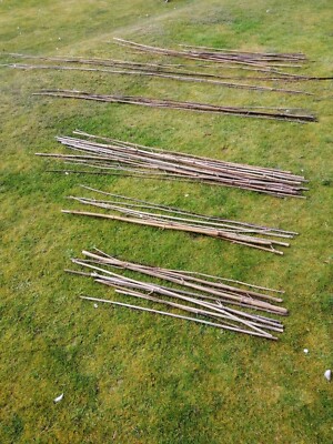 ebay garden canes