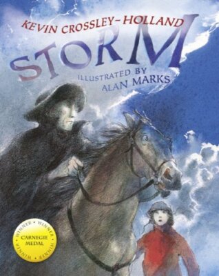 Literacy Evolve: Year 3 Storm By Kevin C Holland