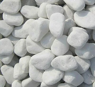 Ciottoli marmo Bianco Carrara 60/100 mm sassi pietre arredo vasi e giardino 23Kg