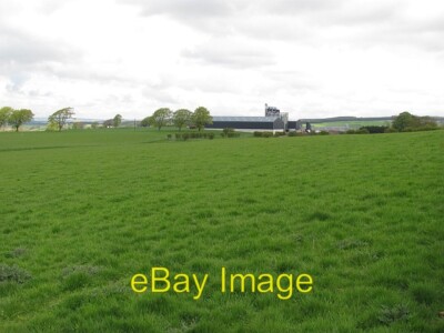 Photo 6x4 Spring grass, Roadhead Farm Quothquan Roadhead Farm supplies th c2010