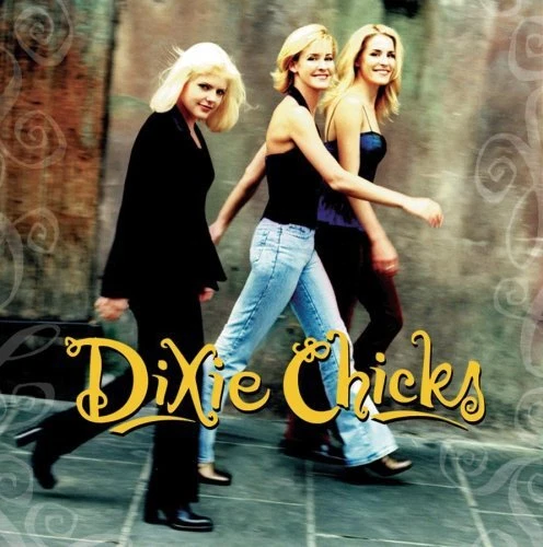 DIXIE CHICKS-WIDE OPEN SPACES CD (THERE'S YOUR TROUBLE/YOU WERE MINE)