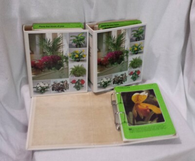 Success With House Plants (3 Binders) a Plant per page, Tips - Incomplete Set