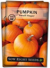 - Small Sugar Pumpkin Seed for Planting - Non-Gmo Heirloom Packet with Instructi