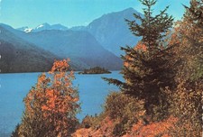 Cat Island Ross Lake North Cascades National Park Vintage Postcard