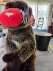 Beanie Buddy and Beanie Baby 'Cheeks' Orangutans With A Misprint. — photo 3