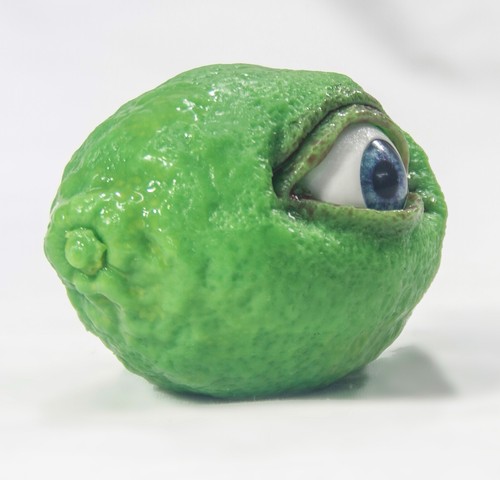 The All Seeing Lime - Picture 6 of 7