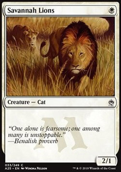 MTG】Savannah マジック：ザ・ギャザリング MTG Savannah 3ED PSA9