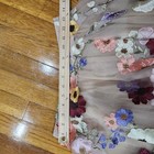 Picture 11 of 12