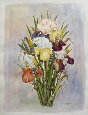 Tableau grande et belle Aquarelle naturaliste "Les Iris" signée B. Thierry 1995 - Photo 1/4