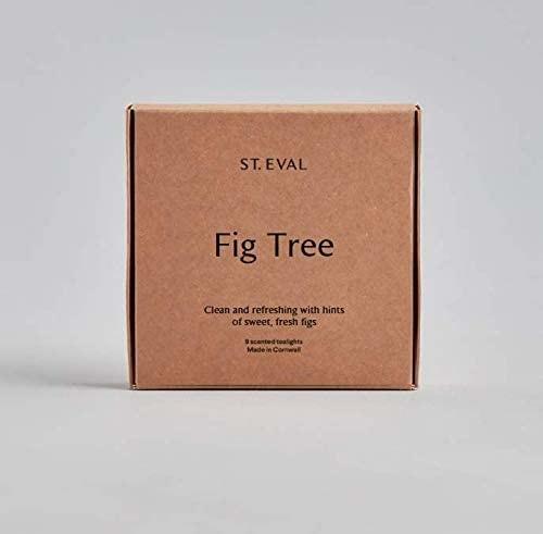 ST EVAL Scented Tea Lights - Box of 9 - Fig Tree - Picture 1 of 1