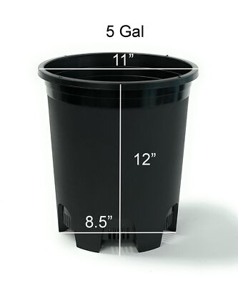 5 Gallon Large Nursery Pot 11 Inch 6-Pack Premium Plastic Planters | eBay