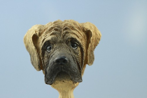 BUL MASTIFF  INTERCHANGEABLE HEAD  SEE ALL  BREEDS , BODIES @ EBAY STORE) - Afbeelding 1 van 3