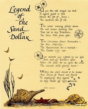 Catholic print picture -  SAND DOLLAR  -   8" x 10" ready to be framed