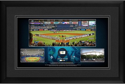 Tampa Bay Rays Framed 10x18 Stadium Panoramic Collage & Piece of GU Baseball