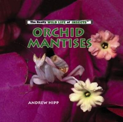 Orchid Mantises Library Binding Andrew Hipp