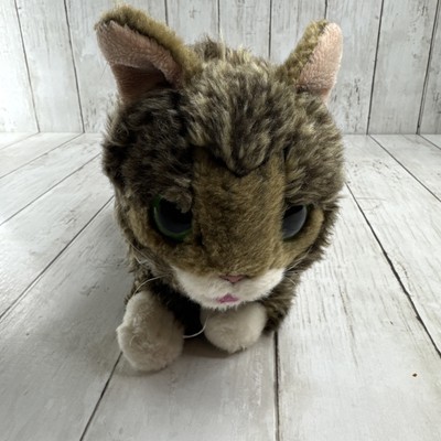 Lil Bub Cuddle Barn Cat Kitty Cat Plush Stuffed Animal Green Eyes Realistic