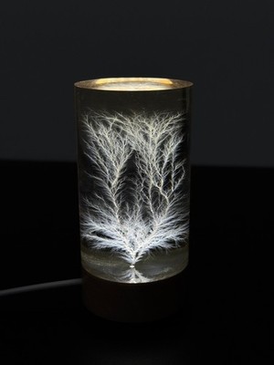 Frozen Lightning / Lichtenberg Figure 2'' x 3'' Cylindrical Acrylic Desk Sculpture