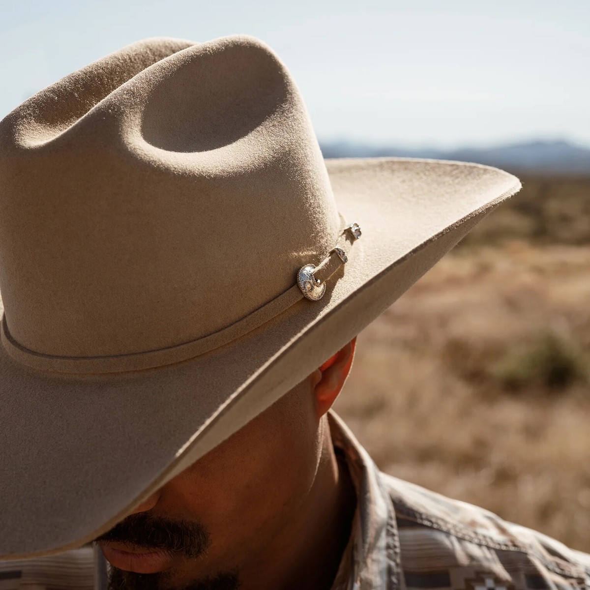 Stetson® 4X Corral SilverSand Felt Hat With Free Hat Brush | eBay
